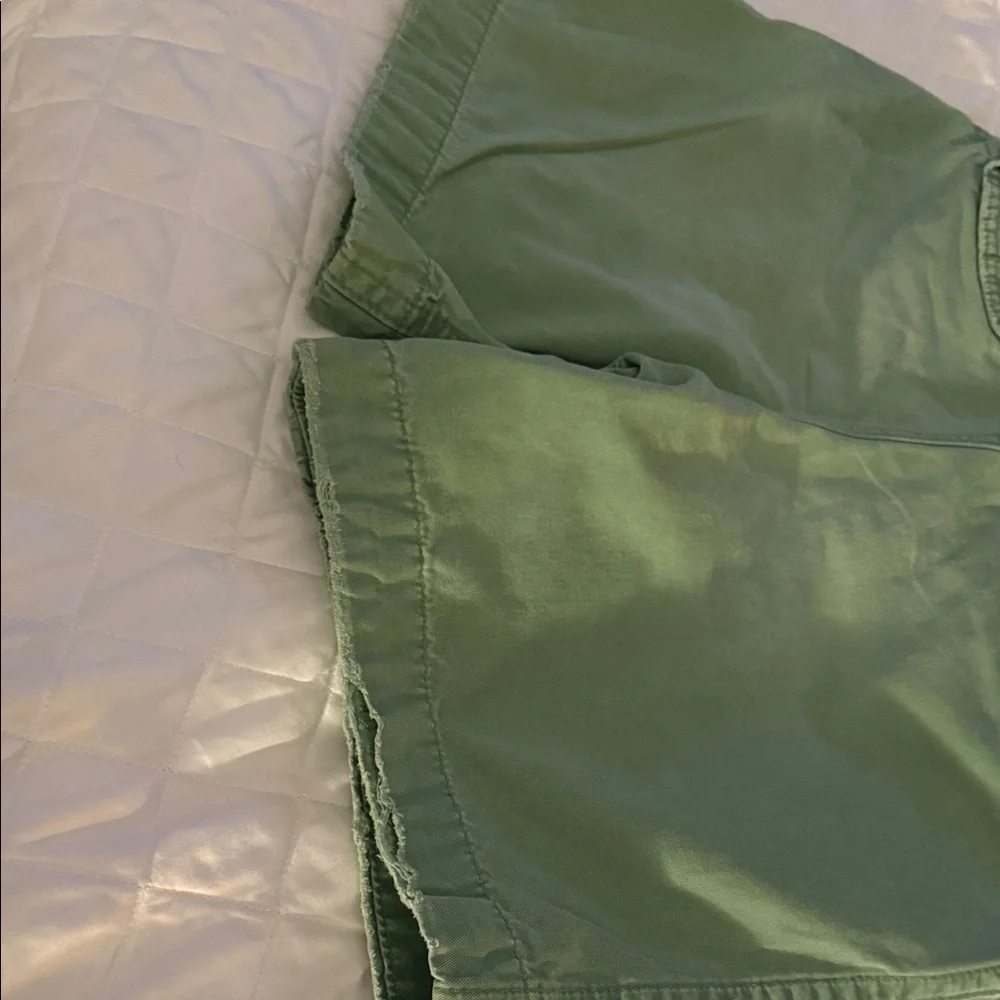 Abercrombie & Fitch Mint Green Men's Flat Front Shorts - Picture 6 of 9